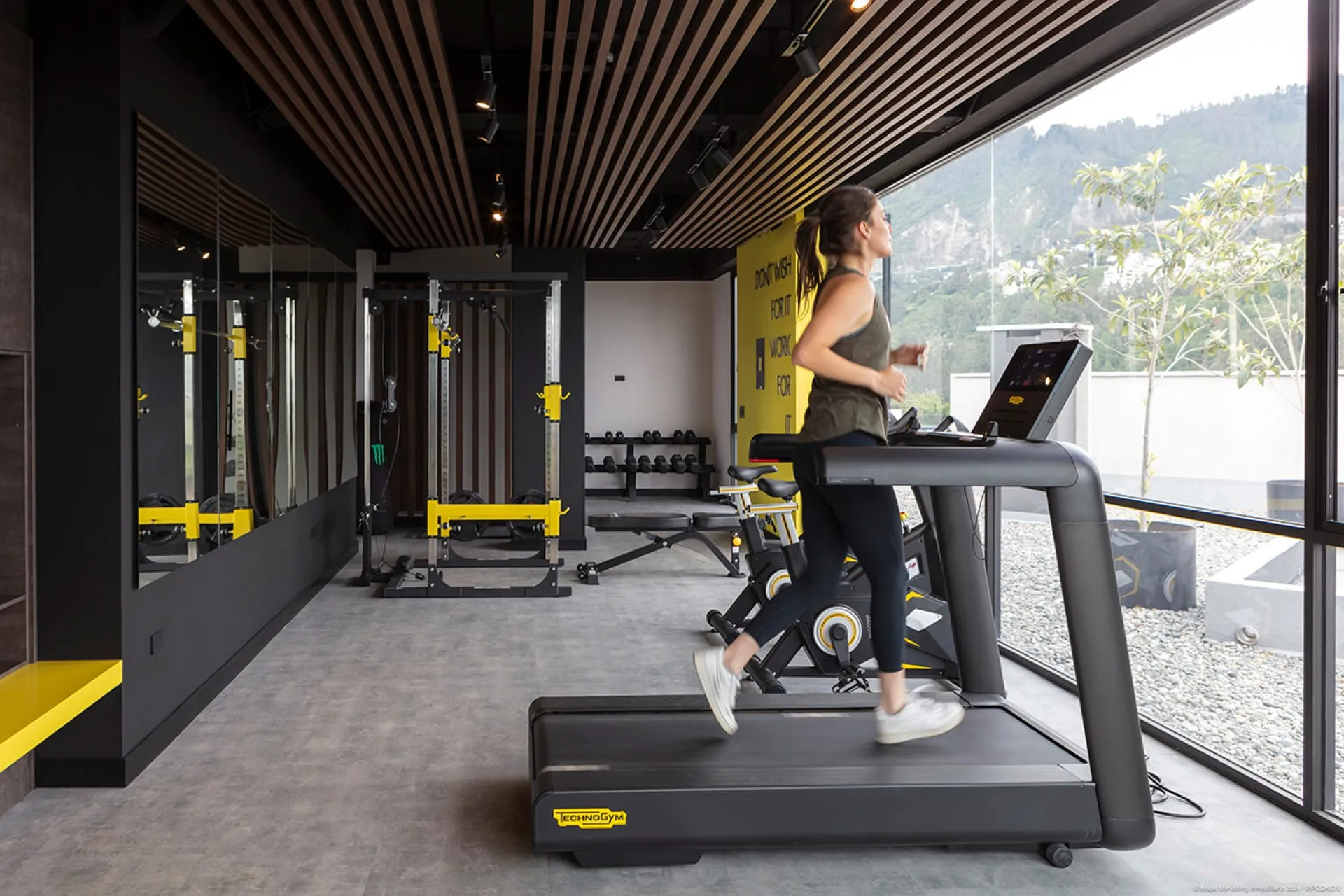 gimnasio